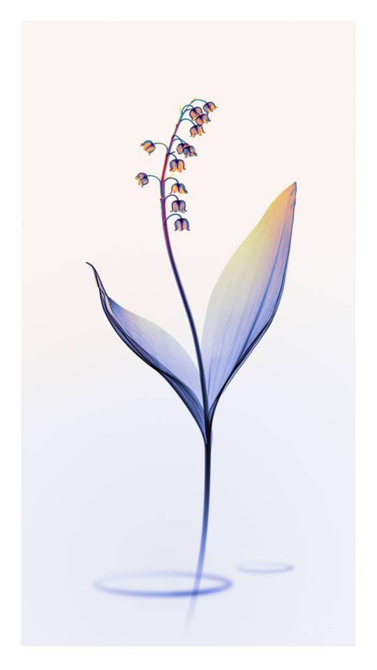 LOVEIIR #11 - Hugh Turvey