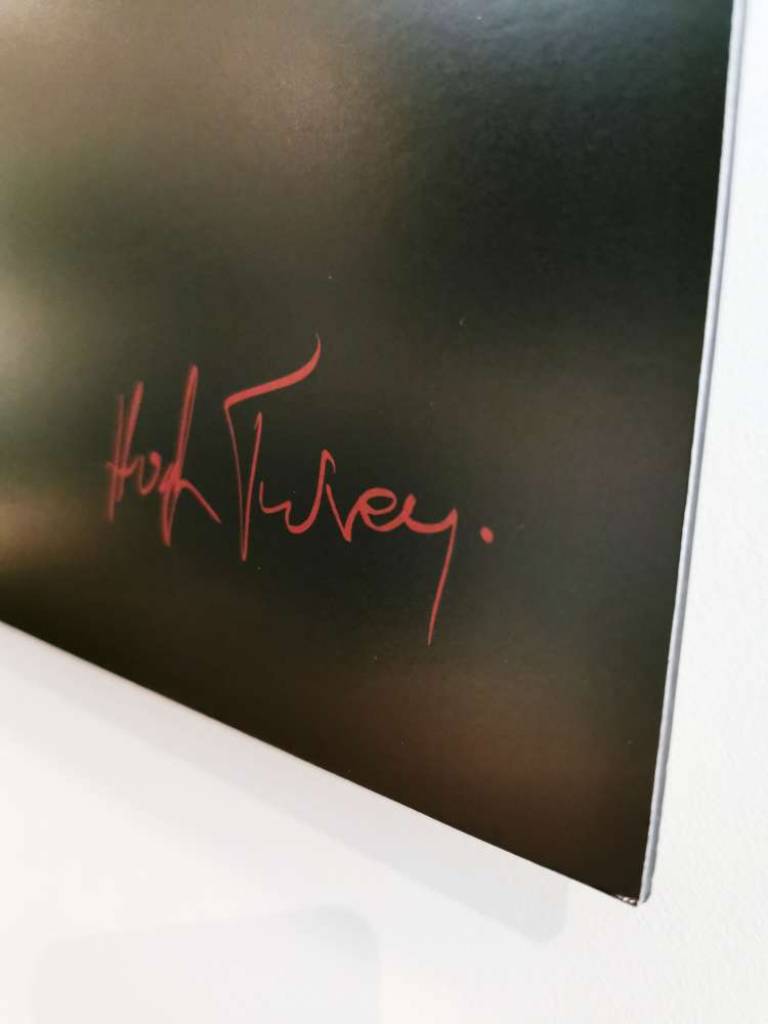 Shoaling & Schooling - Hugh Turvey