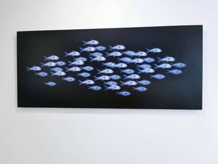 Shoaling & Schooling - Hugh Turvey