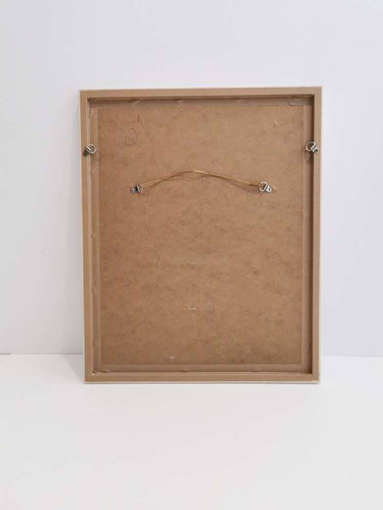 ゴウダソウ GENUS LUNARIA - Hugh Turvey