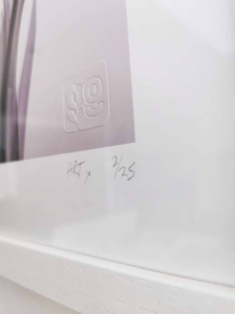 チューリップ  GENUS TULIPA, #2/25 - Hugh Turvey