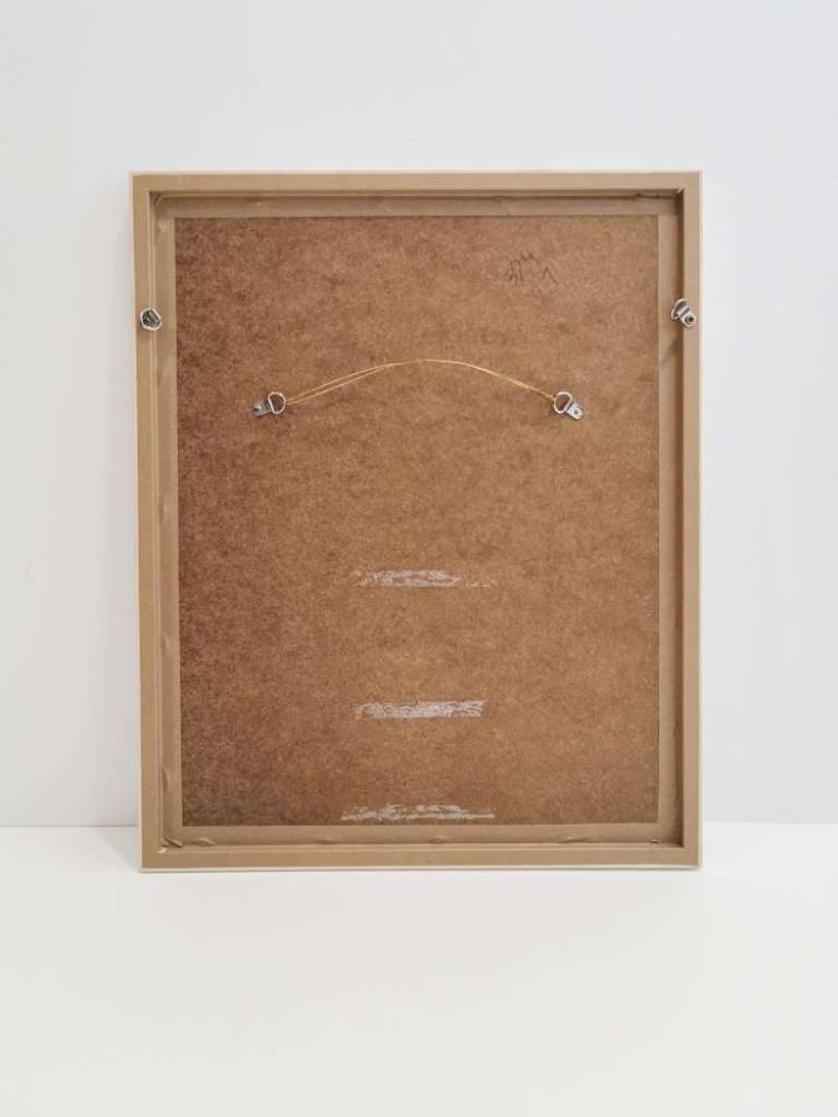 萓 GENUS HEMEROCALLIS - Hugh Turvey