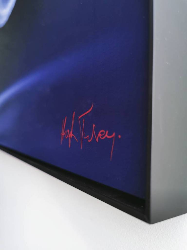 Dance By The Light Of The Moon - Hugh Turvey