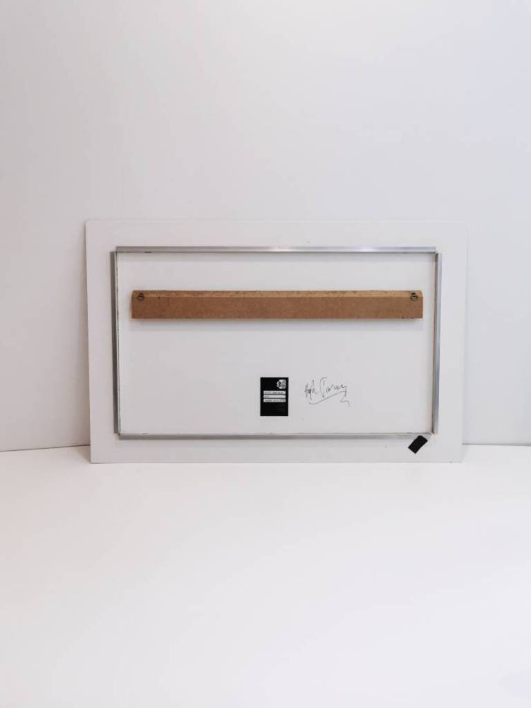 Ducati 888 Blue - Hugh Turvey