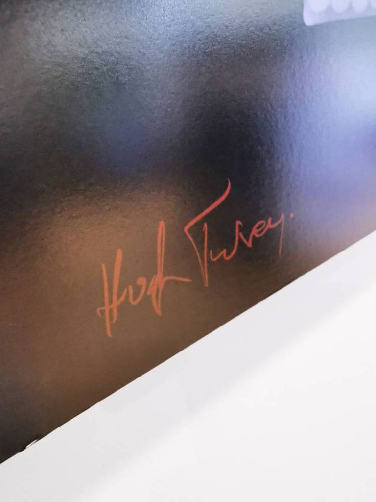 Freeze Frame - Hugh Turvey