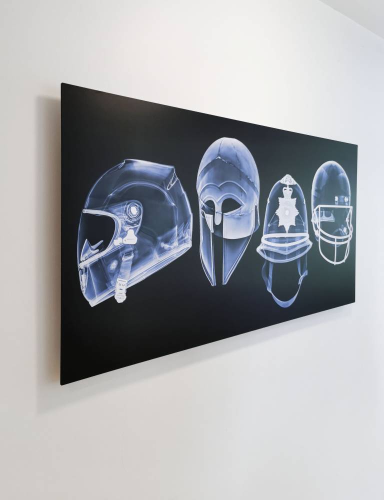 Skulls - Hugh Turvey