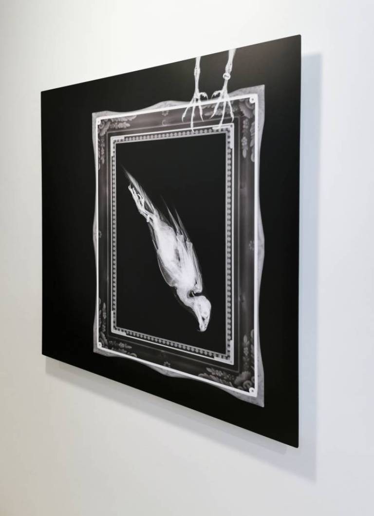 The Fastest Sagittal - Hugh Turvey