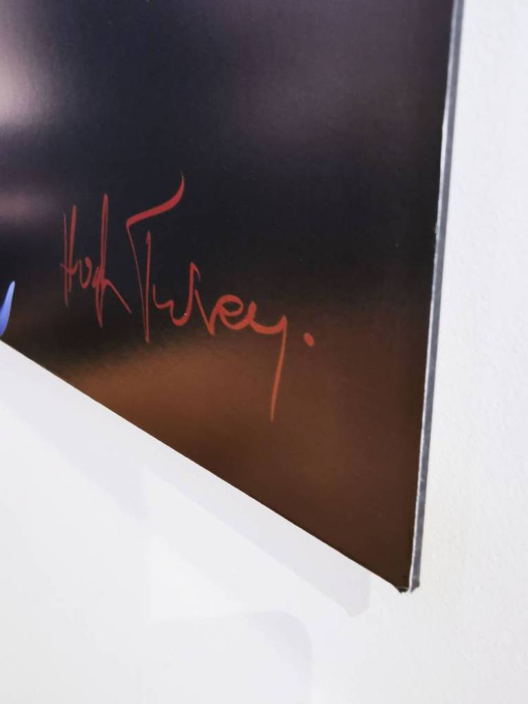 Too Many Mouths - Hugh Turvey