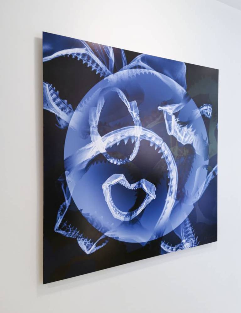 Too Many Mouths - Hugh Turvey