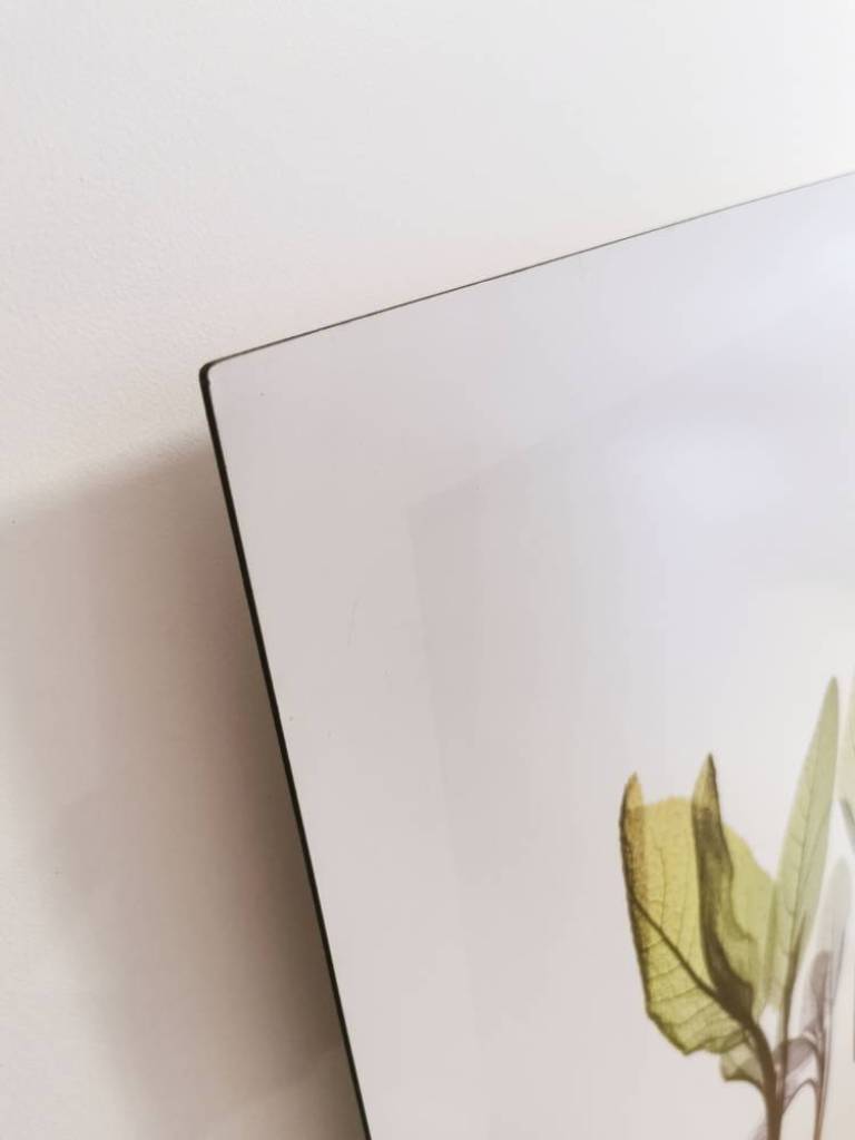 Sage Composition - Hugh Turvey