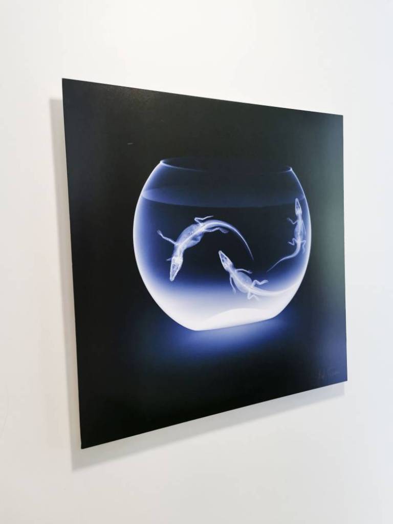 Air - Hatchlings - Hugh Turvey