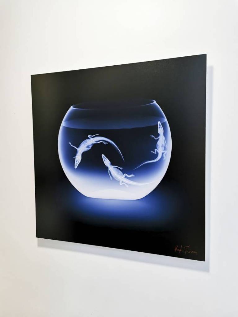 Air - Hatchlings - Hugh Turvey