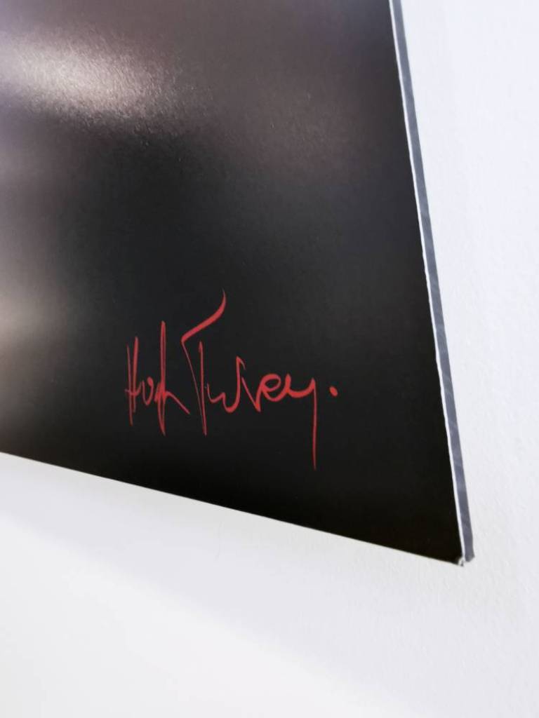 Air - Hatchlings - Hugh Turvey