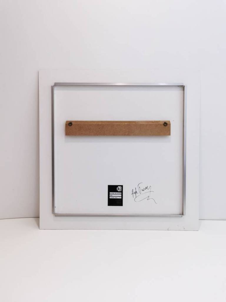 Blue Bag - Hugh Turvey