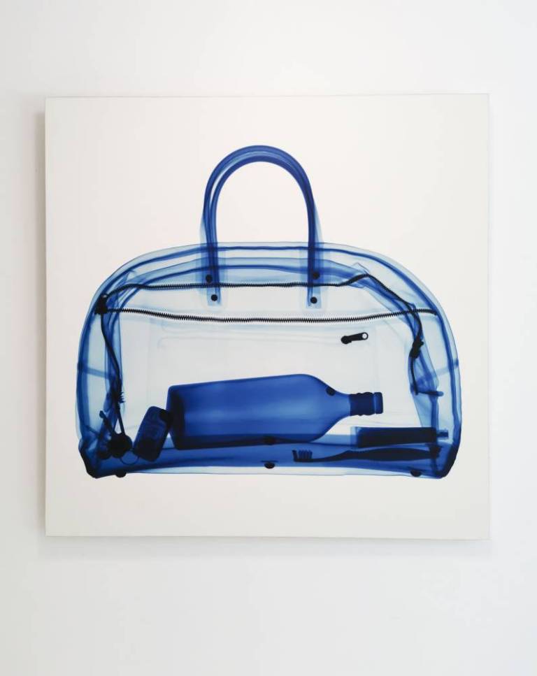 Blue Bag - Hugh Turvey