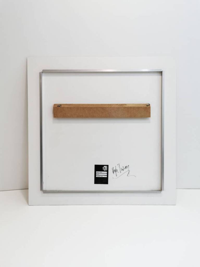 Green Bag - Hugh Turvey