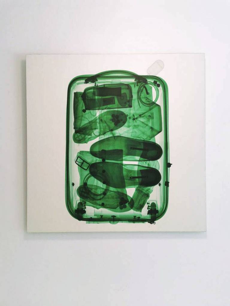 Green Bag - Hugh Turvey