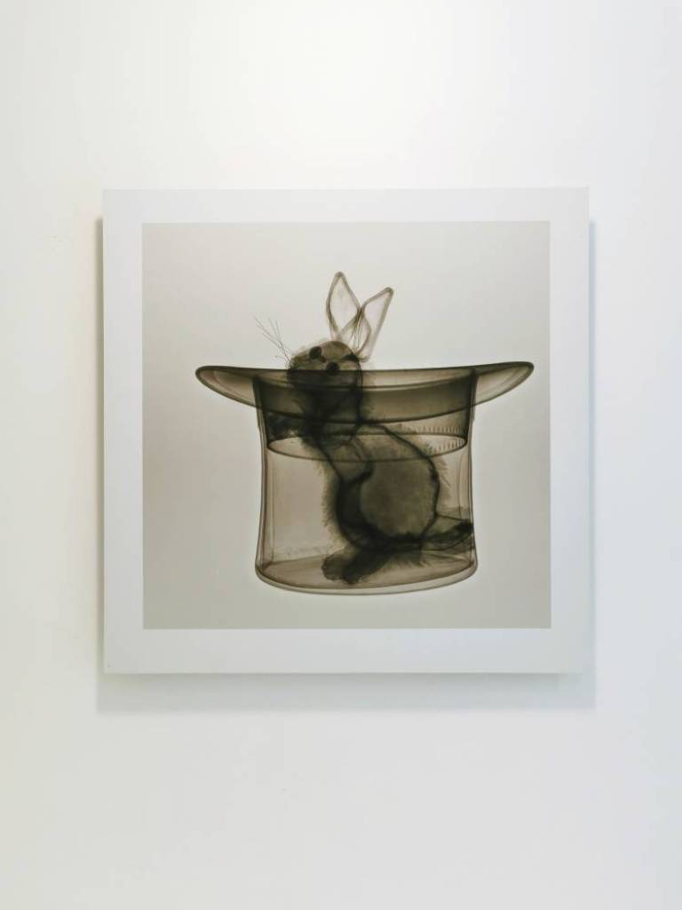 Magic With - Hugh Turvey