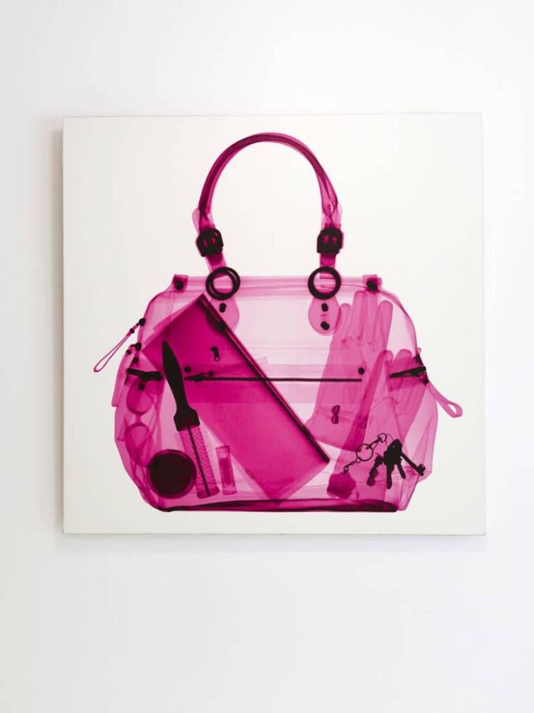 Pink Bag - Hugh Turvey