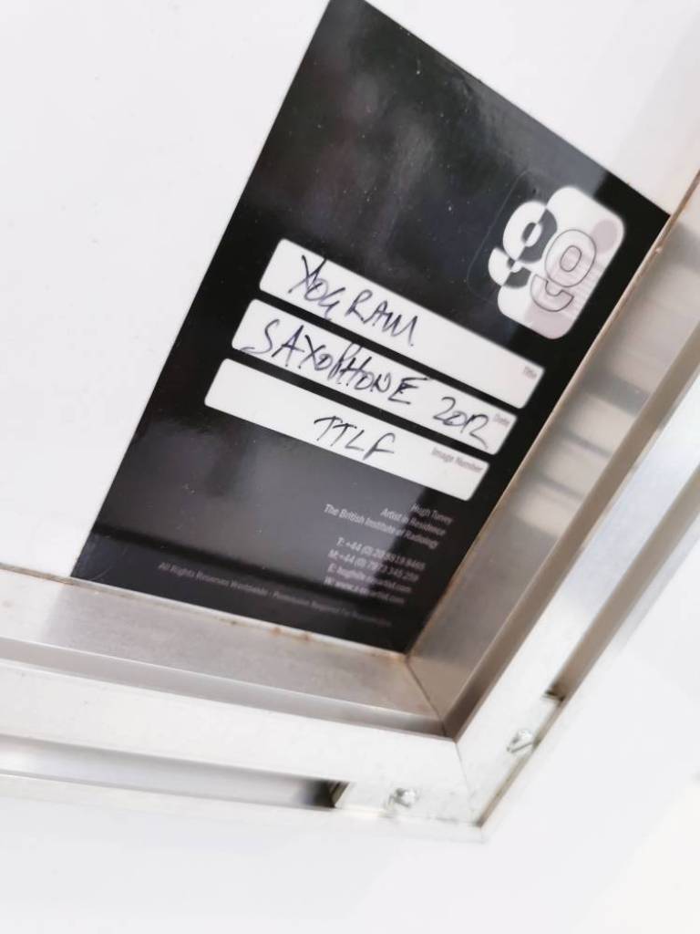 Saxophone - Hugh Turvey