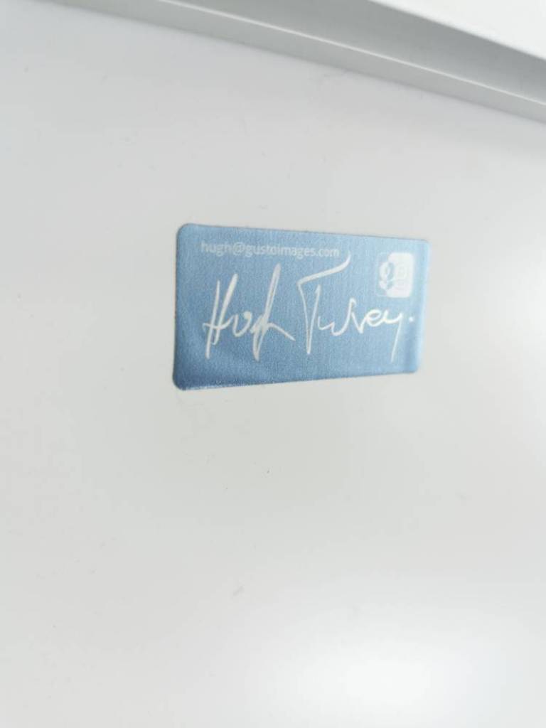 Stargazer - Hugh Turvey