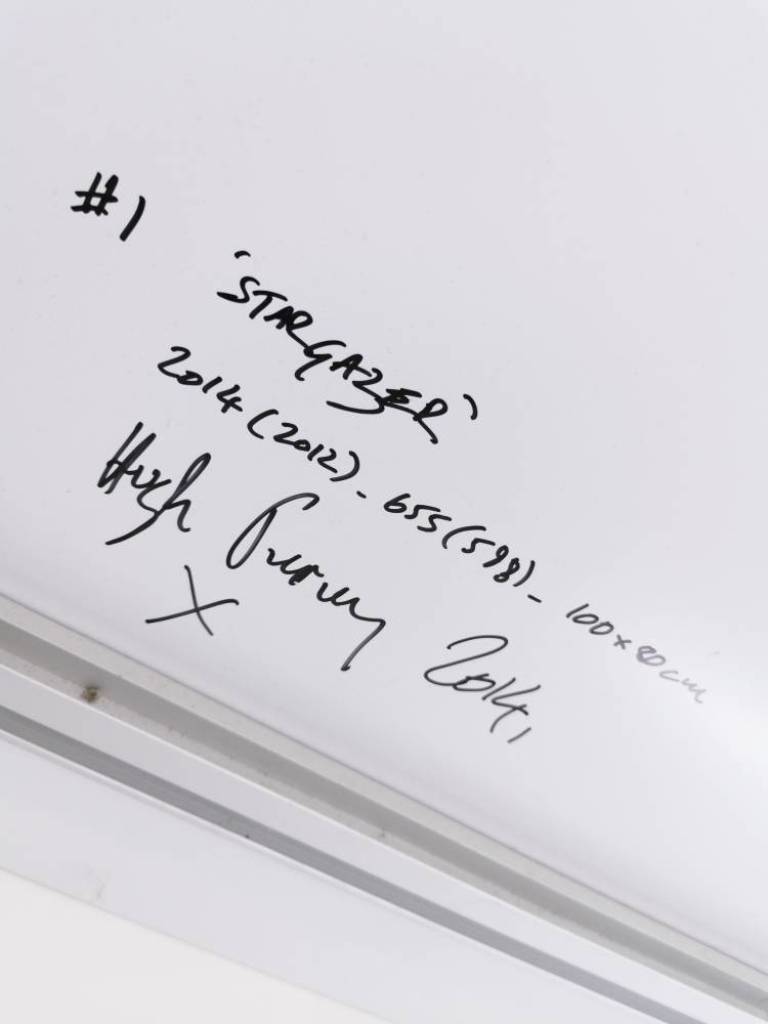 Stargazer - Hugh Turvey