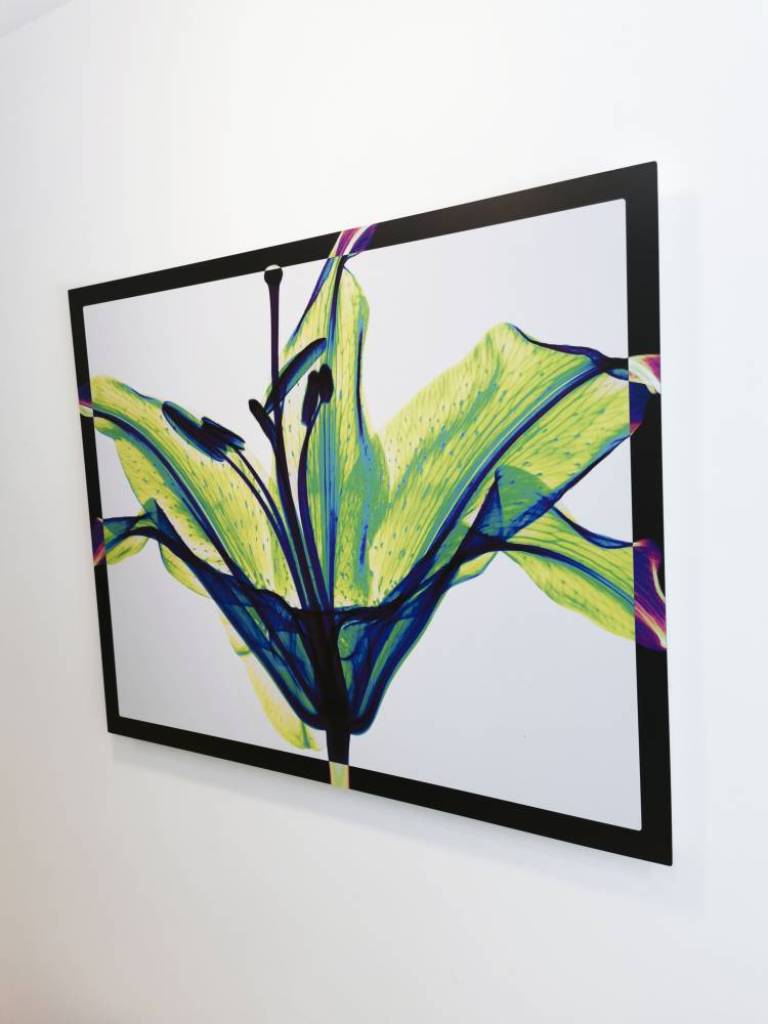 Stargazer - Hugh Turvey