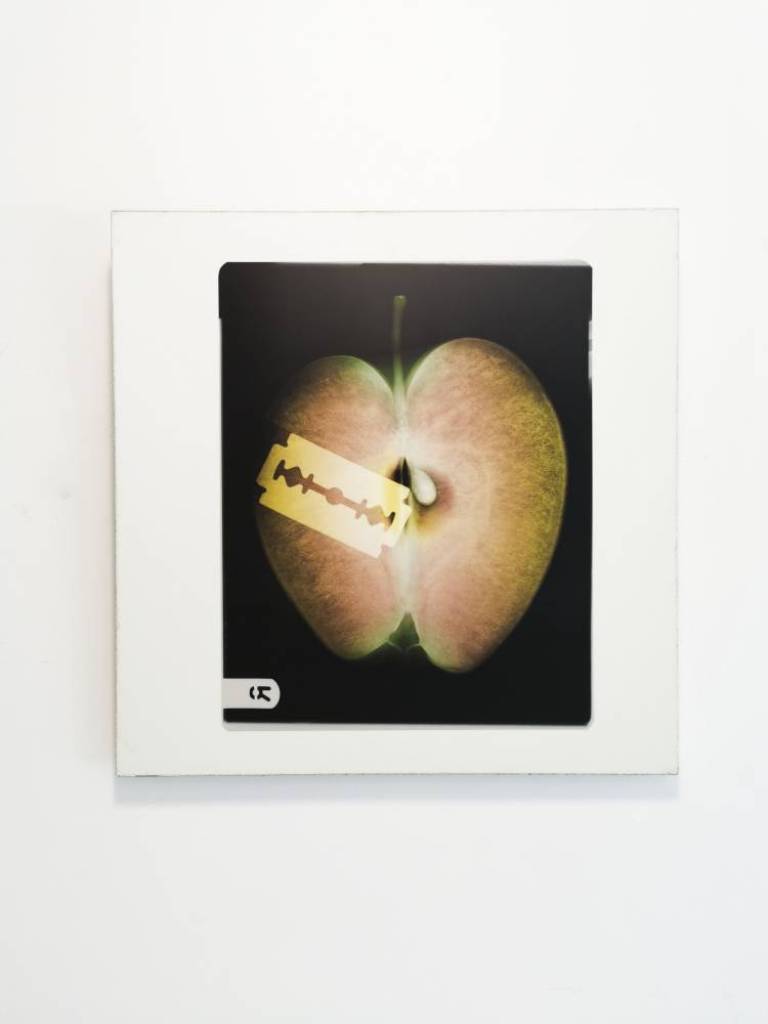 The Good Pupil - Hugh Turvey