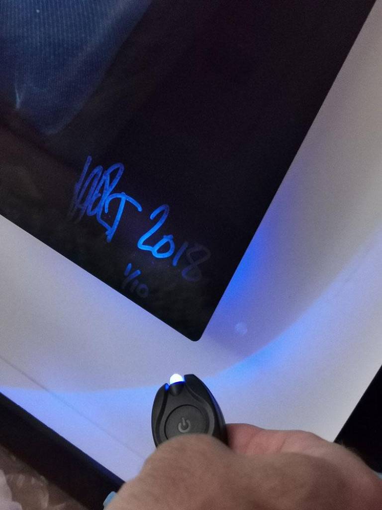 Thornback Rays ♀♂ - Hugh Turvey