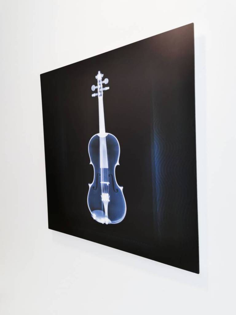 Violin - Hugh Turvey