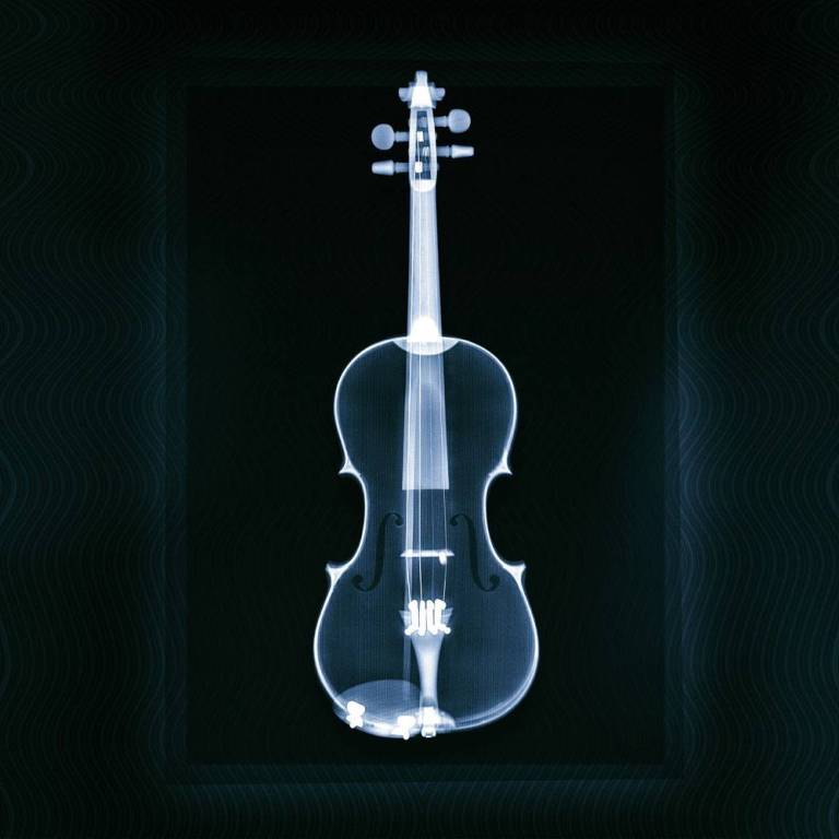Violin - Hugh Turvey