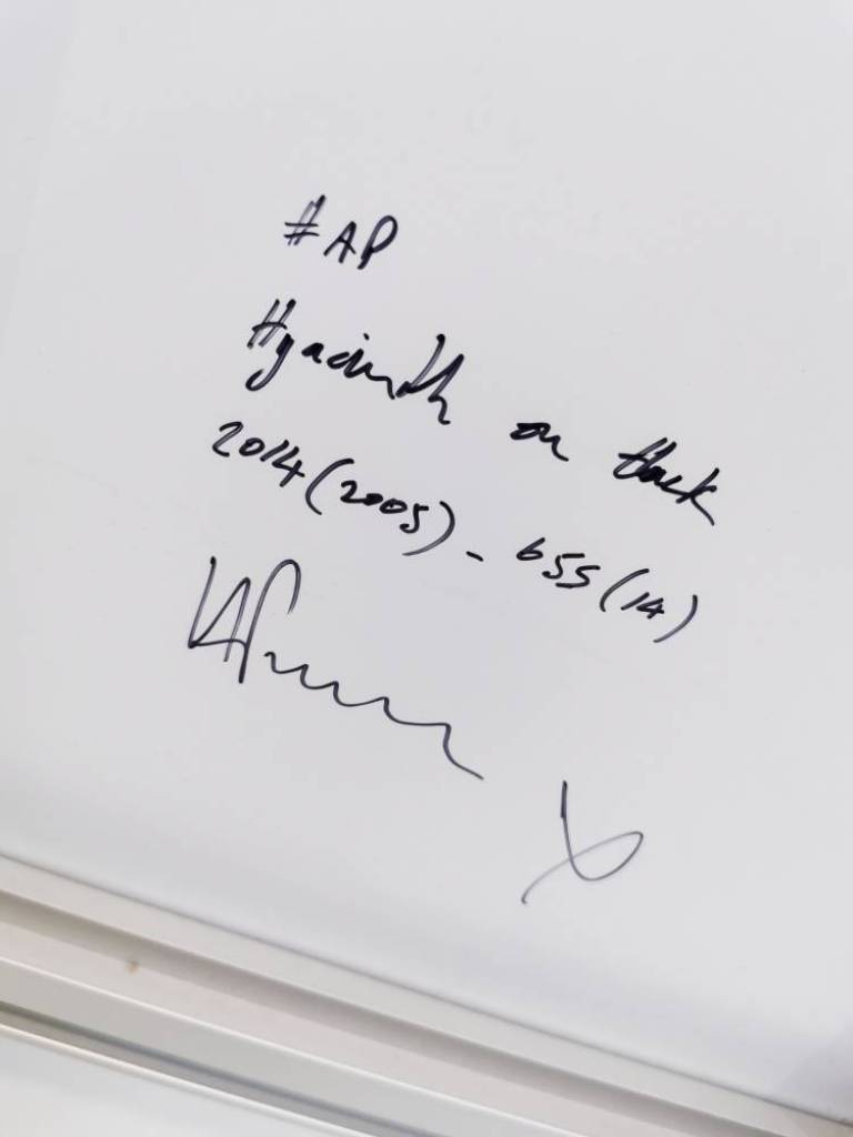 Hyacinth on Black - Hugh Turvey