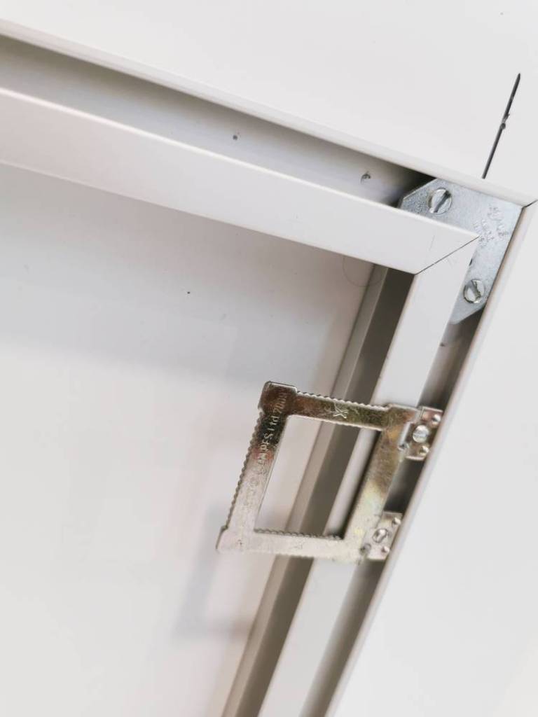 Hyacinth on Black - Hugh Turvey