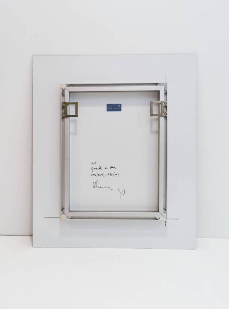 Hyacinth on Black - Hugh Turvey