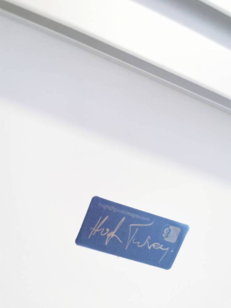 Laynes Lily - Hugh Turvey