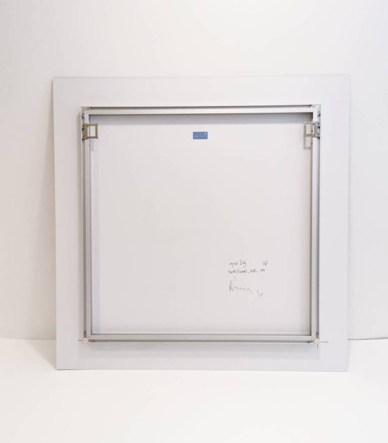 Laynes Lily - Hugh Turvey