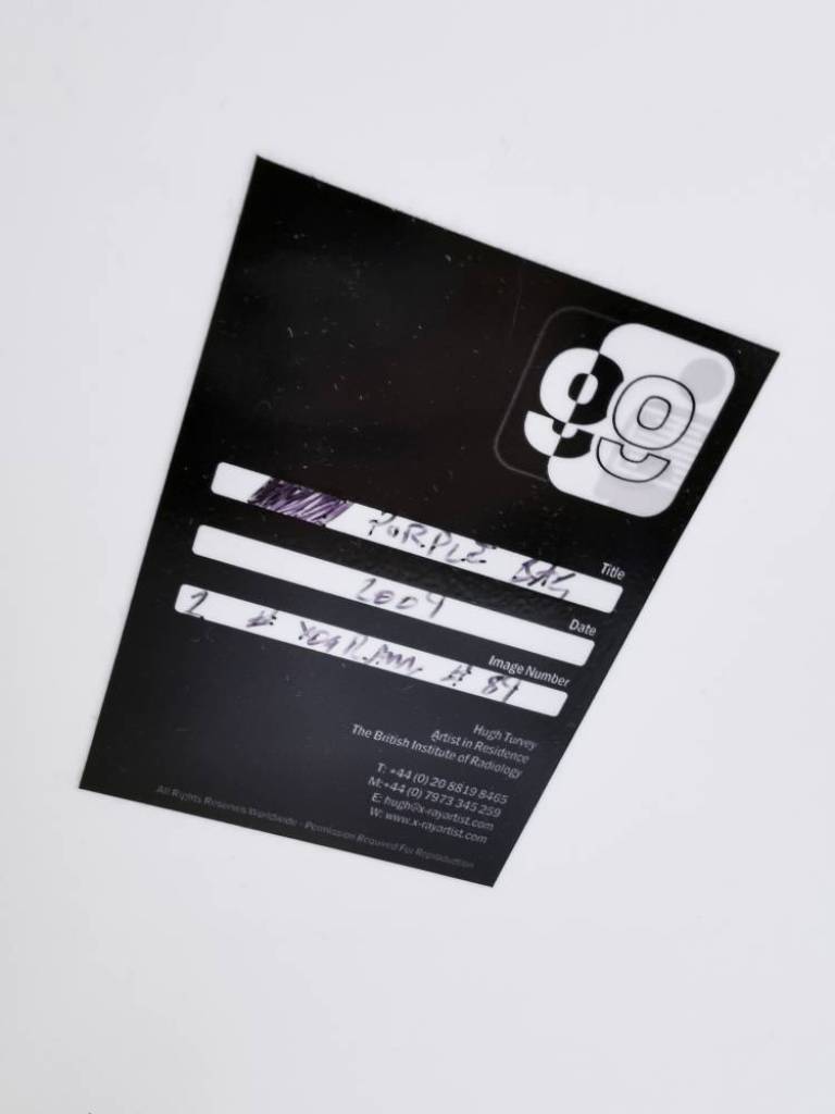 Purple Bag - Hugh Turvey