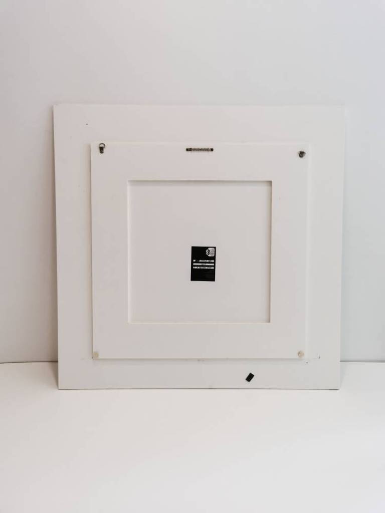 Purple Bag - Hugh Turvey