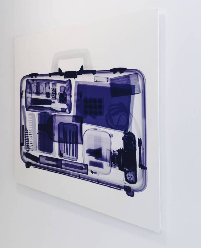 Purple Bag - Hugh Turvey