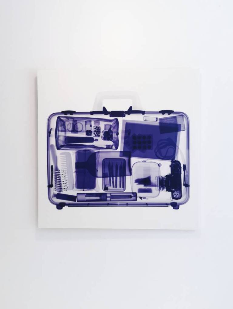 Purple Bag - Hugh Turvey