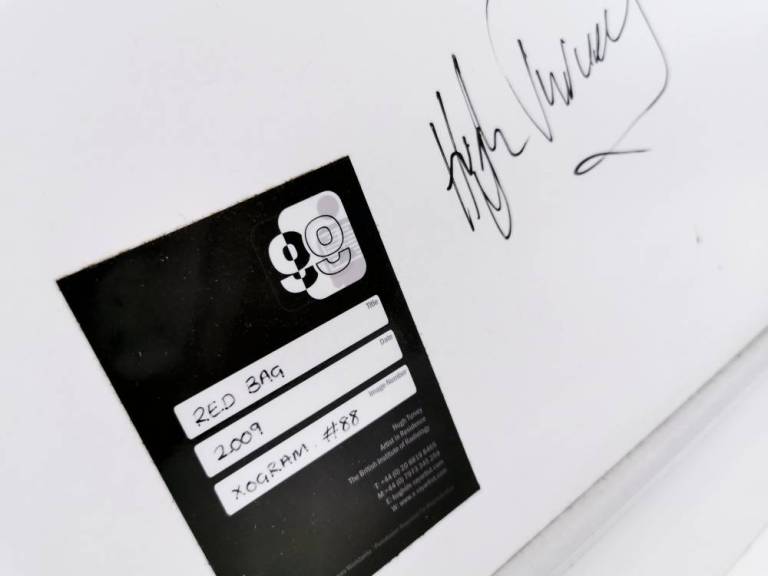 Red Bag - Hugh Turvey