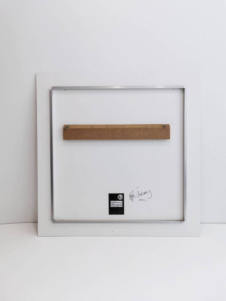 Red Bag - Hugh Turvey