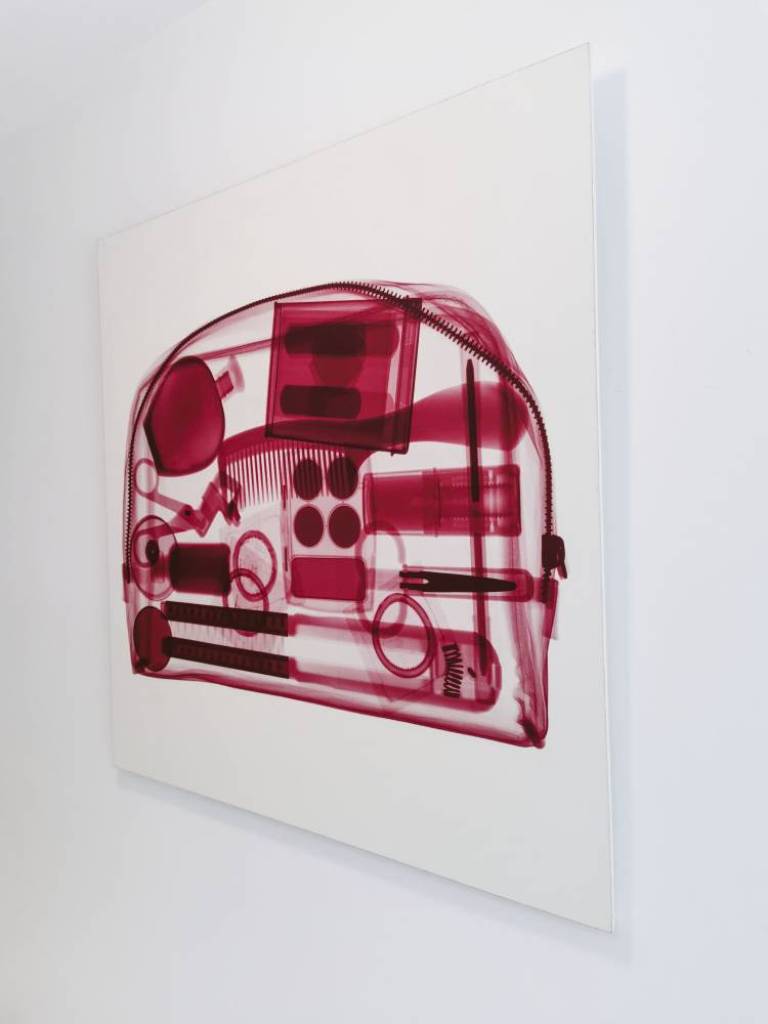 Red Bag - Hugh Turvey