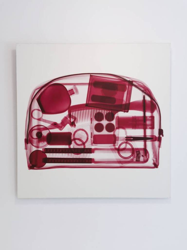 Red Bag - Hugh Turvey