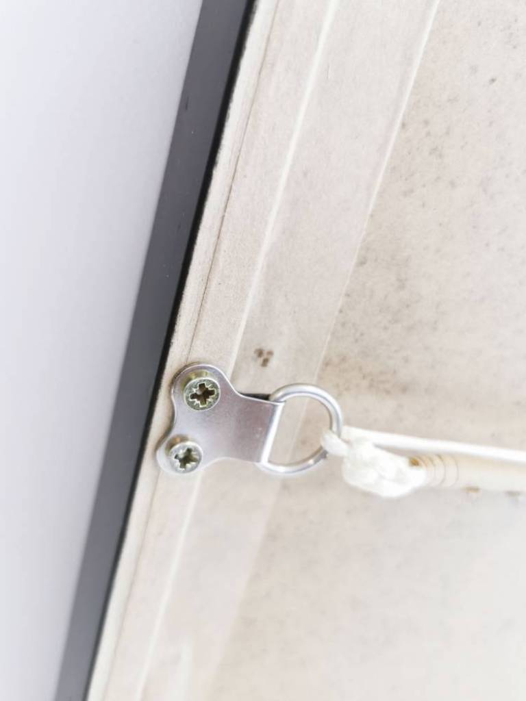 Tied Basil - Hugh Turvey