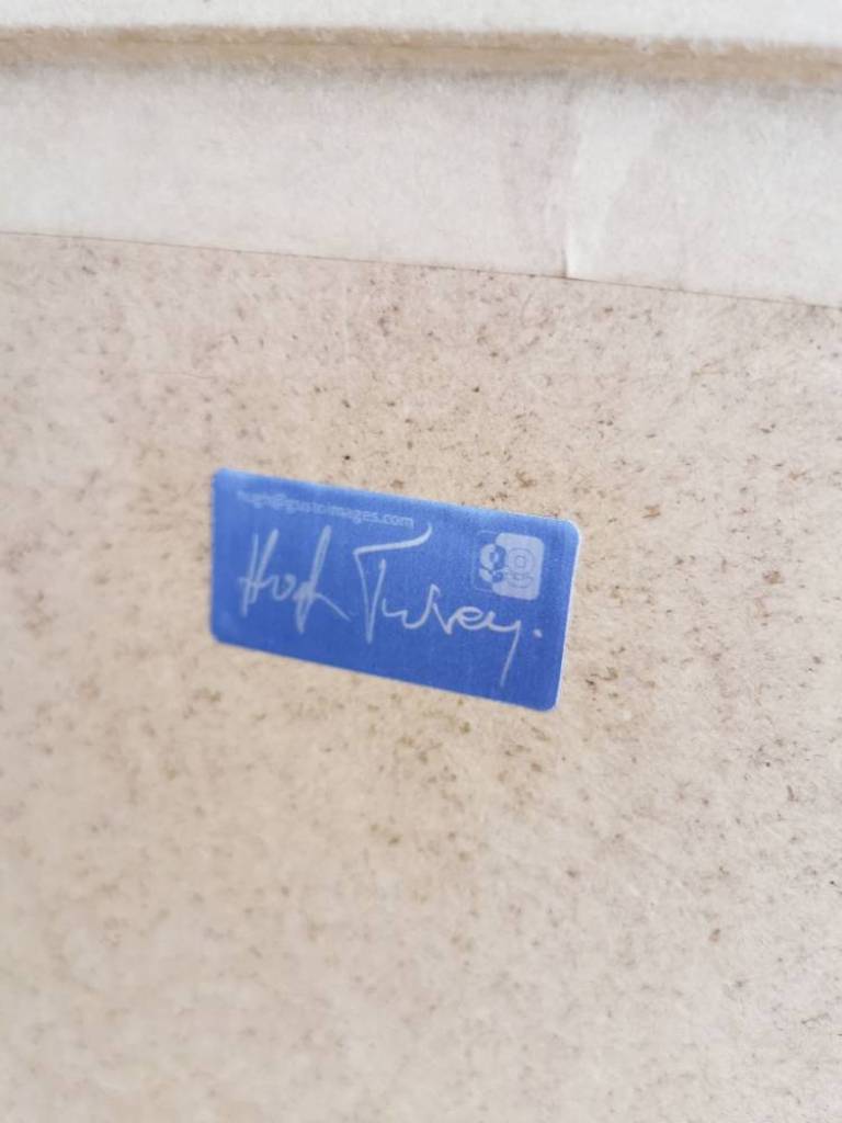 Digitalis On Blue - Hugh Turvey