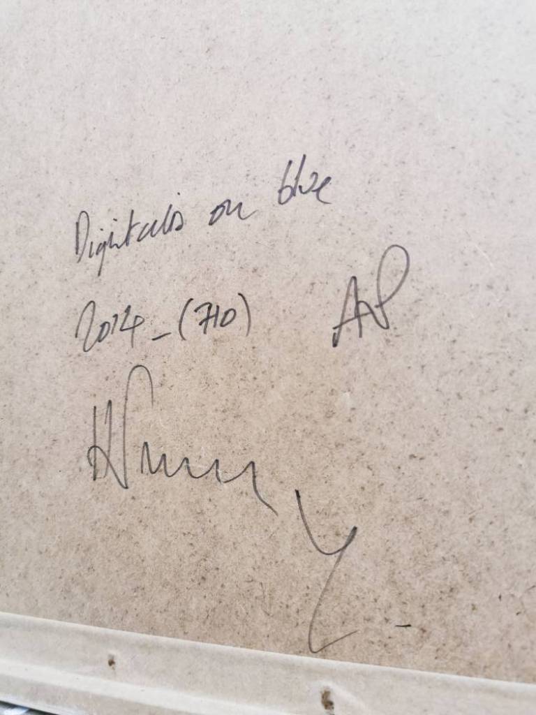 Digitalis On Blue - Hugh Turvey