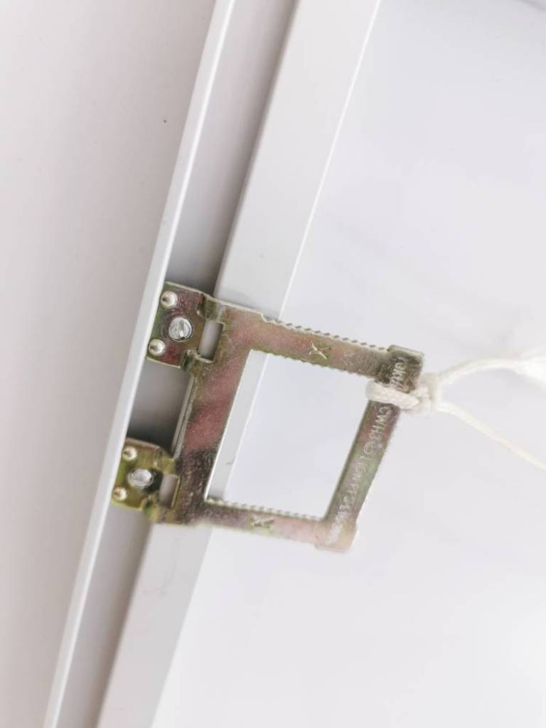 Digitalis - Hugh Turvey