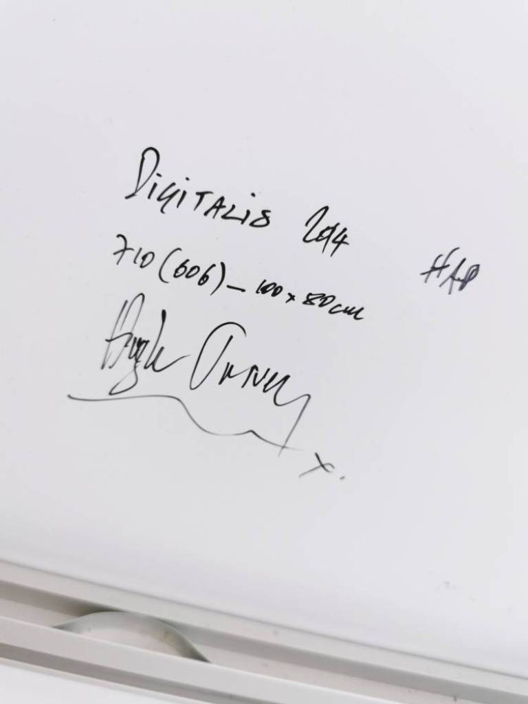 Digitalis - Hugh Turvey