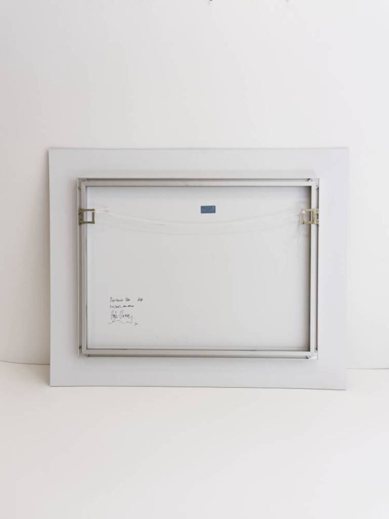 Digitalis - Hugh Turvey